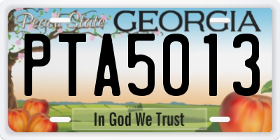 GA license plate PTA5013
