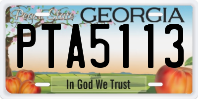 GA license plate PTA5113