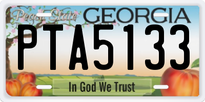 GA license plate PTA5133