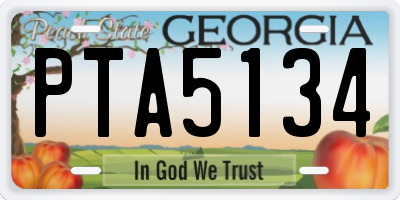 GA license plate PTA5134