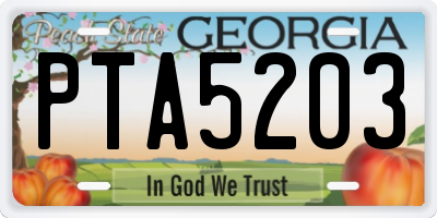 GA license plate PTA5203