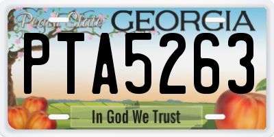GA license plate PTA5263