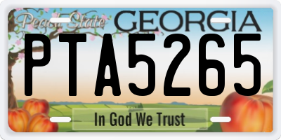 GA license plate PTA5265