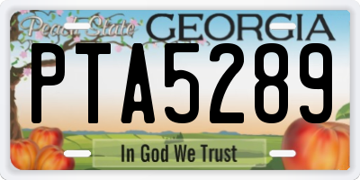 GA license plate PTA5289