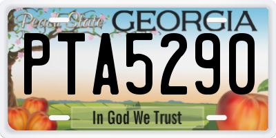 GA license plate PTA5290