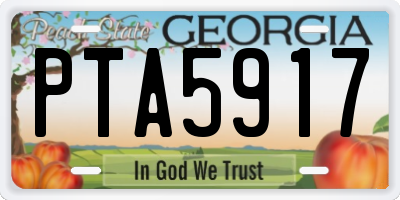 GA license plate PTA5917