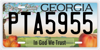 GA license plate PTA5955