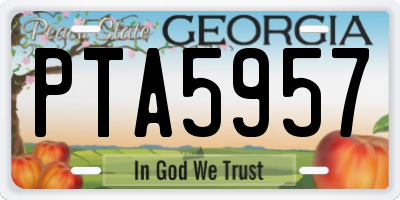 GA license plate PTA5957