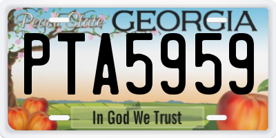 GA license plate PTA5959
