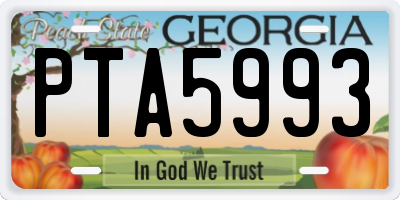 GA license plate PTA5993