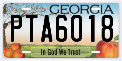 GA license plate PTA6018