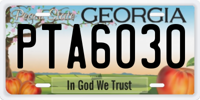 GA license plate PTA6030