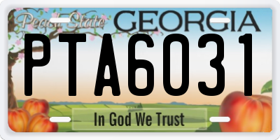 GA license plate PTA6031