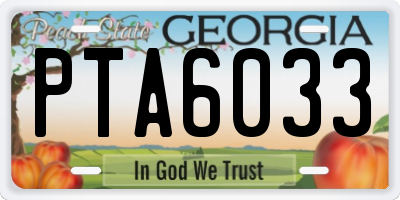 GA license plate PTA6033