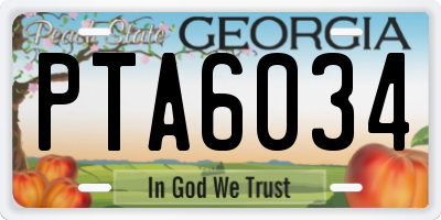 GA license plate PTA6034