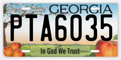 GA license plate PTA6035