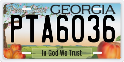 GA license plate PTA6036