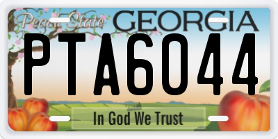 GA license plate PTA6044