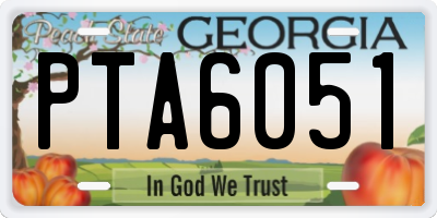 GA license plate PTA6051