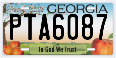 GA license plate PTA6087