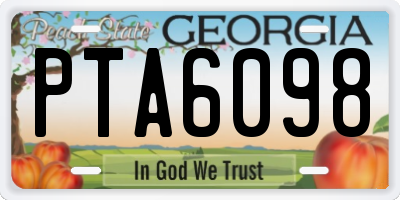 GA license plate PTA6098