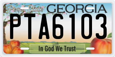 GA license plate PTA6103