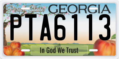 GA license plate PTA6113