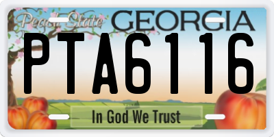 GA license plate PTA6116