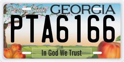 GA license plate PTA6166