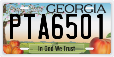 GA license plate PTA6501