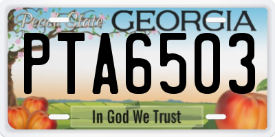 GA license plate PTA6503