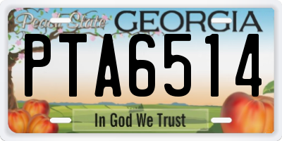 GA license plate PTA6514