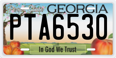 GA license plate PTA6530
