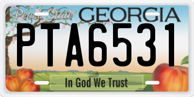 GA license plate PTA6531