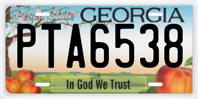 GA license plate PTA6538