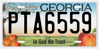 GA license plate PTA6559