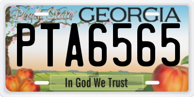 GA license plate PTA6565