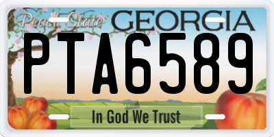 GA license plate PTA6589