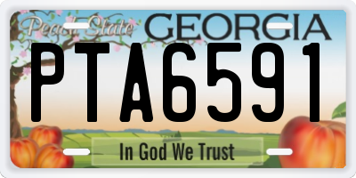GA license plate PTA6591