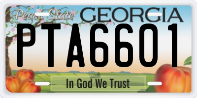 GA license plate PTA6601