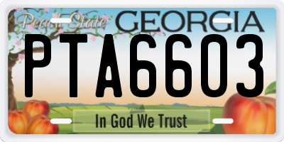 GA license plate PTA6603