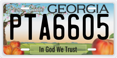 GA license plate PTA6605