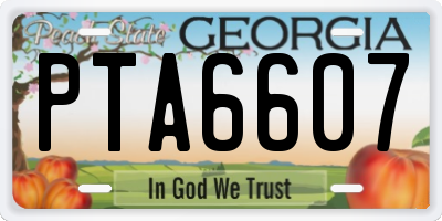 GA license plate PTA6607