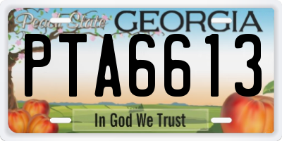 GA license plate PTA6613