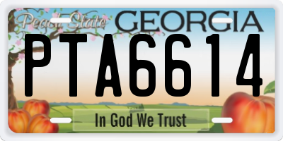 GA license plate PTA6614