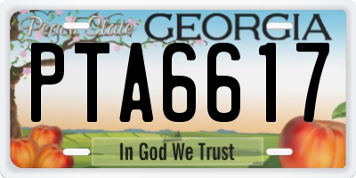 GA license plate PTA6617