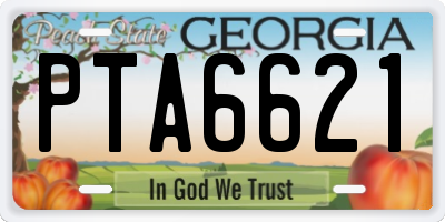 GA license plate PTA6621