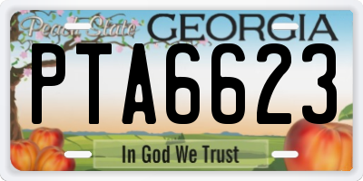 GA license plate PTA6623