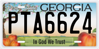 GA license plate PTA6624