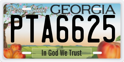 GA license plate PTA6625